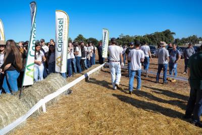 Dia de Campo Coprossel -Evento reuniu produtores, lideranças e empresas parceiras para apresentar tecnologias 